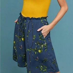 Anthropologie Lemon Bird Shorts